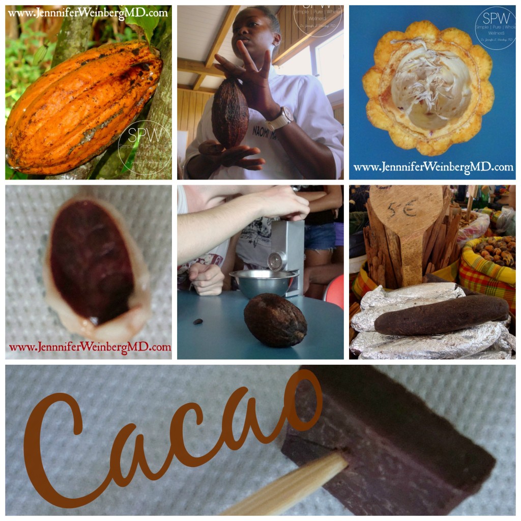 cacaocollage_2