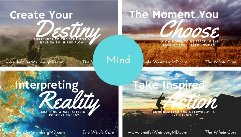 The Whole Cure Lifestyle Transformation Program #Mind Module: a mental makeover to build #healthy habits, change your #mindset, banish #stress and transform your life!