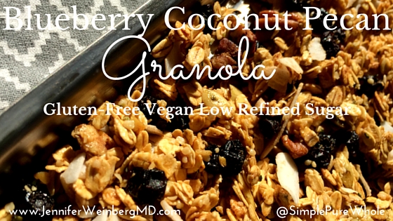 gluten free blueberry coconut pecan granola_blog title