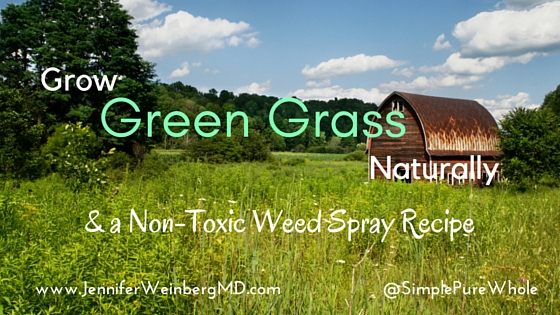 Avoid pesticides and go green naturally! #gardening #garden #green #nontoxic #natural www.JenniferWeinbergMD.com