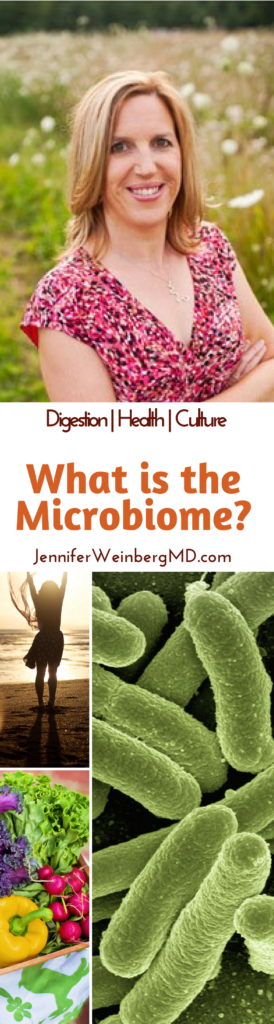 What is the #Microbiome, How Does it Impact Health and What Can You Do About It? #guthealth #gut #digestion #digestivehealth #video #interview #podcast #health #healthy #wellness #bacteria