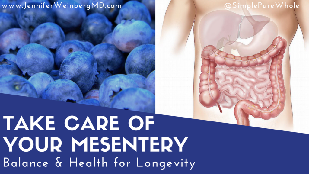 Follow these Simple Steps to Protect the Newest Organ for Longevity and Balance, the Mesentery! Learn how to boost #lymphatic flow, #immunity and #digestion #mesentery #health #healthy #aging #lymph #massage #microbiome #antioxidant #stress #digestion #gut #guthealth www.JenniferWeinbergMD.com
