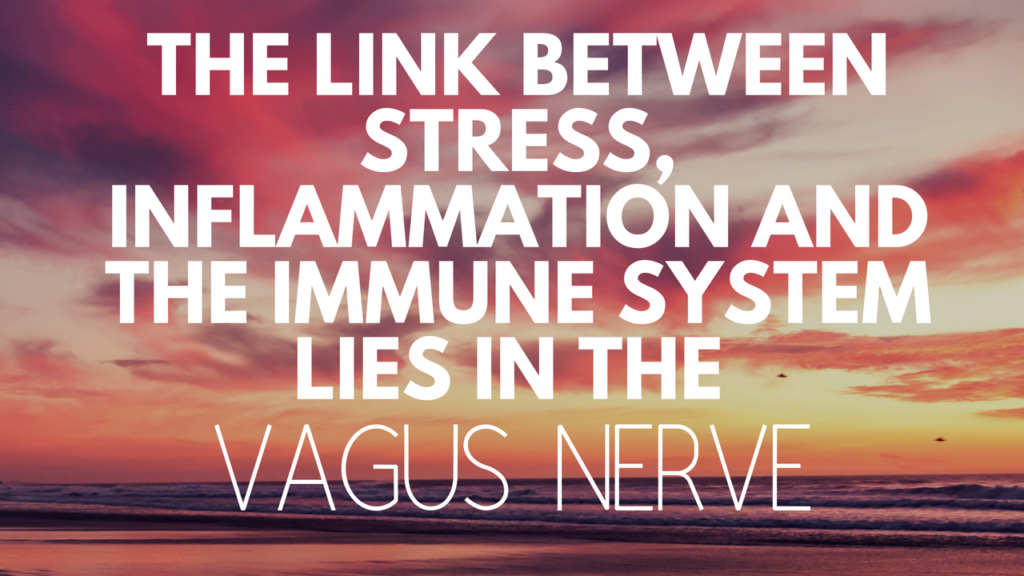 Want to Reduce #Inflammation and Improve Your #Health Try This New Approach Using Self #Massage to Reducing Inflammation: It All Starts with The #Vagus Nerve! #wellness #naturalheath #yoga