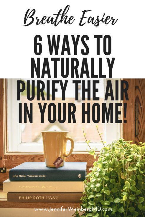 Breathe Easier Naturally with 6 Ways to Purify the Air in Your Home